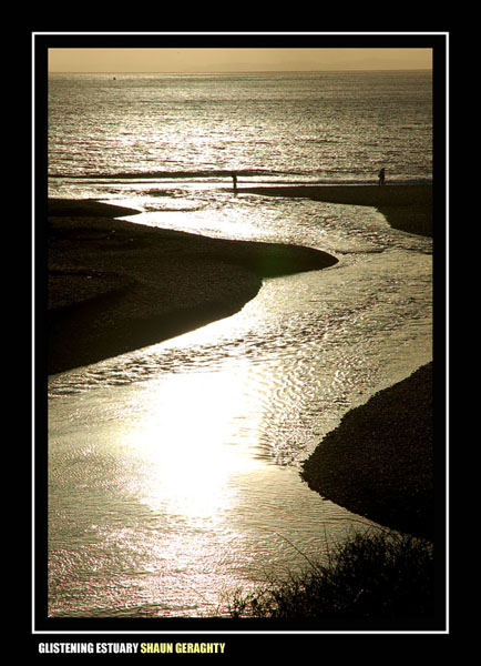 Glistening Estuary